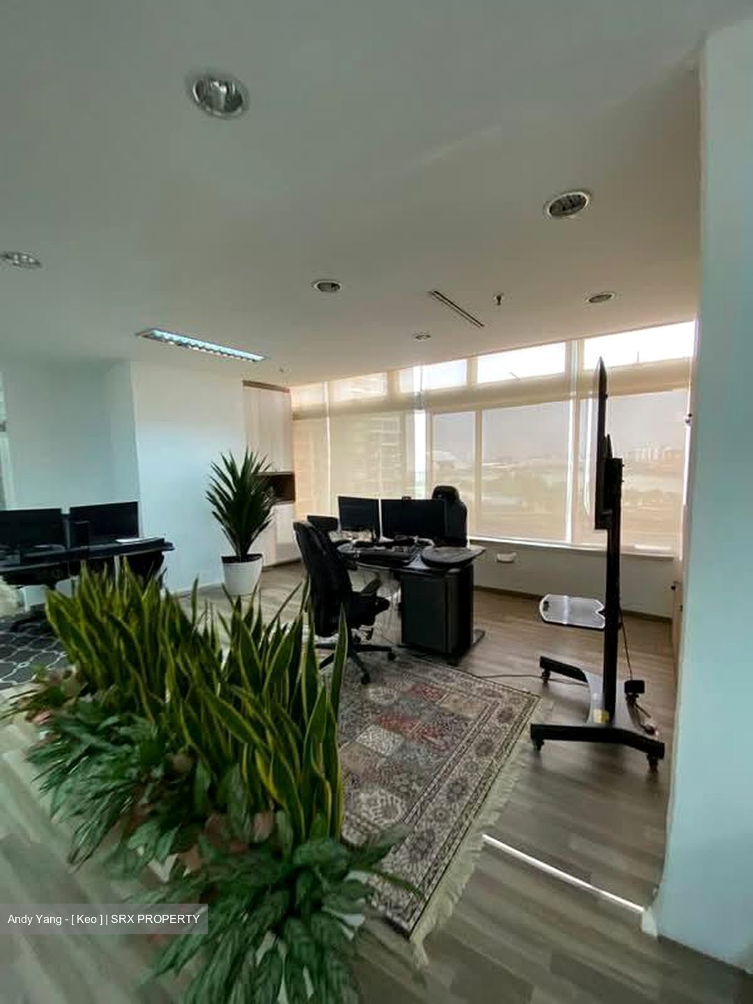 The Plaza (D7), Office #567629681